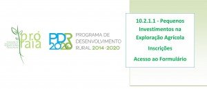 Ins1