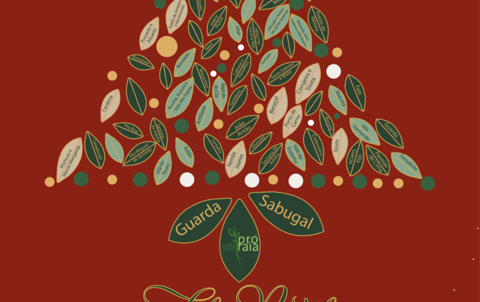 Postal De Natal Pró Raia